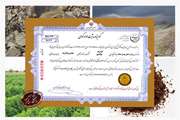  نجاح باحثي جامعة سمنان الإيرانية في الحصول على تکوین معدني لتحسين التربة عبر استخدام الزيوليت